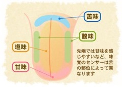 !cid_FBC1375E74AFFE37B542C1F876FBE6A6-00@decoMailer.jpg