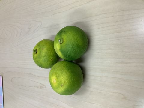 1762325858.jpg 1762325858.jpg