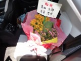 かわいいでしょ。みどりのヤツはクマです。