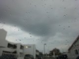 思わず雨粒とってまいました