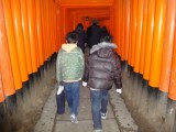 有名な延々と続く鳥居をくぐる道です。もちろんこの後彼らに後ろから押してもらいながら登りました。
