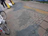 歩道もガタガタになってました。