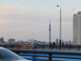 だんだん大きくなってきます