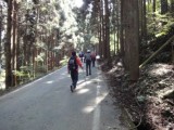 まだこれクルマで上がれるところです・・・