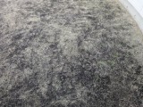 なんかすごく生えてきそうな土でしょ?