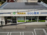 隣のマンションの3階から撮りました。もうこれ以上のせれんって言われちゃいました・・・