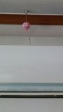 1435197566.jpg 1435197566.jpg