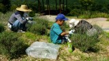 黙々と作業中…