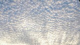 鰯雲 うろこ雲!? .JPG