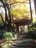 20121119_122618-1.jpg