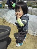 いたずらっ子